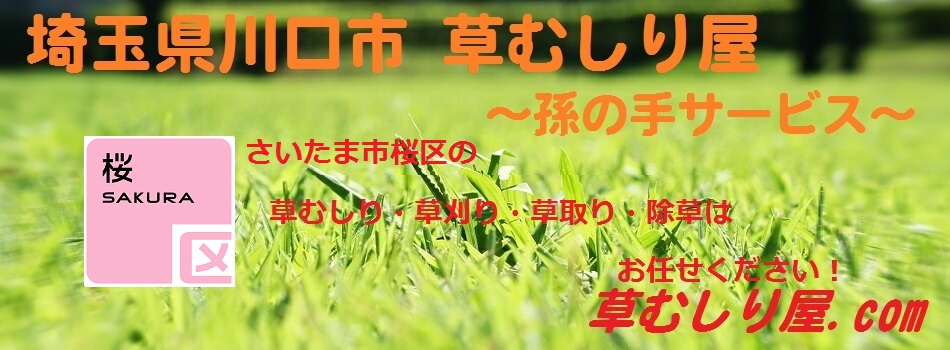 ̎T[rX